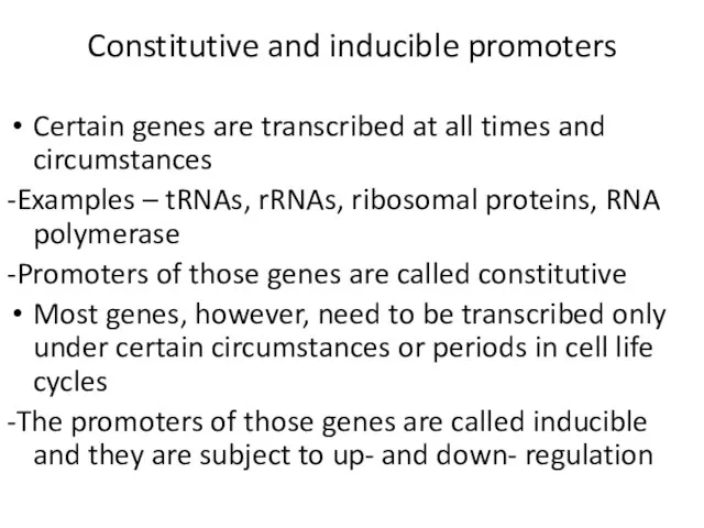 Constitutive and inducible promoters Certain genes are transcribed at all