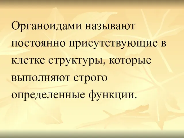 Органоидами называют постоянно присутствующие в клетке структуры, которые выполняют строго определенные функции.