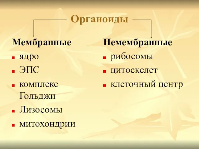 Органоиды Мембранные ядро ЭПС комплекс Гольджи Лизосомы митохондрии Немембранные рибосомы цитоскелет клеточный центр