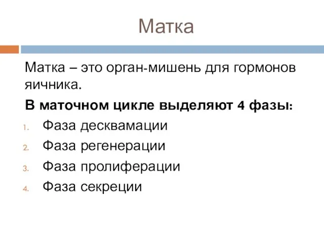 Матка Матка – это орган-мишень для гормонов яичника. В маточном