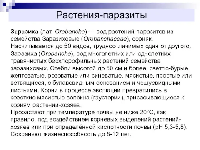 Растения-паразиты Заразиха (лат. Orobanche) — род растений-паразитов из семейства Заразиховые