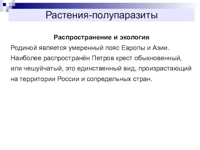 Растения-полупаразиты Распространение и экология Родиной является умеренный пояс Европы и