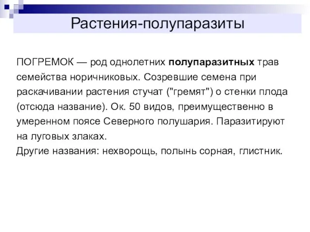 Растения-полупаразиты ПОГРЕМОК — род однолетних полупаразитных трав семейства норичниковых. Созревшие