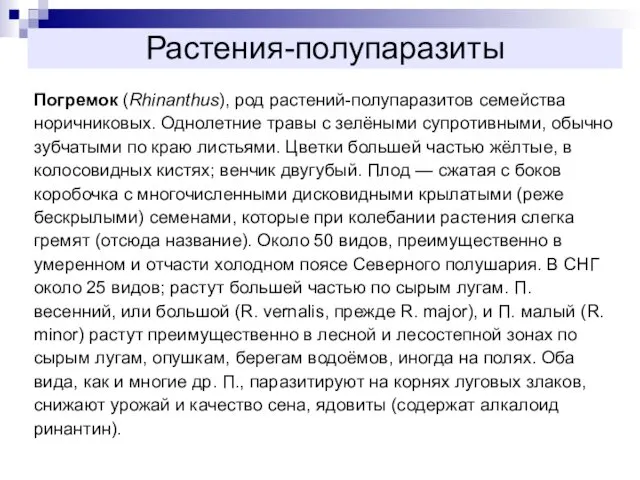 Растения-полупаразиты Погремок (Rhinanthus), род растений-полупаразитов семейства норичниковых. Однолетние травы с