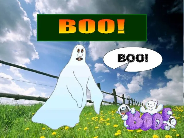 BOO! BOO!