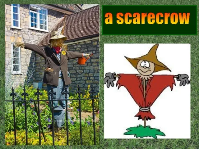 a scarecrow