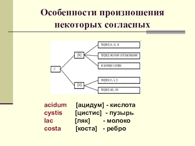 Особенности произношения некоторых согласных acidum [ацидум] - кислота cystis [цистис]