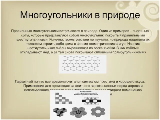 Многоугольники в природе Правильные многоугольники встречаются в природе. Один из примеров – пчелиные