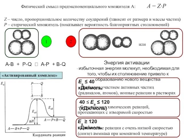 Физический смысл предэкспоненциального множителя А: A = Z·P Z –