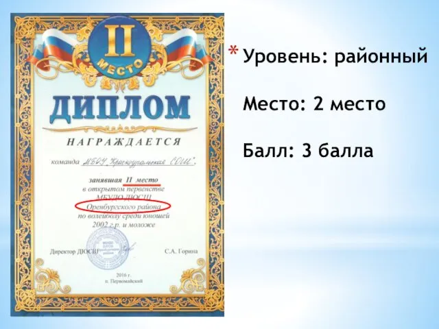 Уровень: районный Место: 2 место Балл: 3 балла