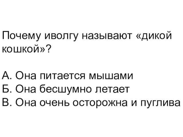 Почему иволгу называют «дикой кошкой»? А. Она питается мышами Б.