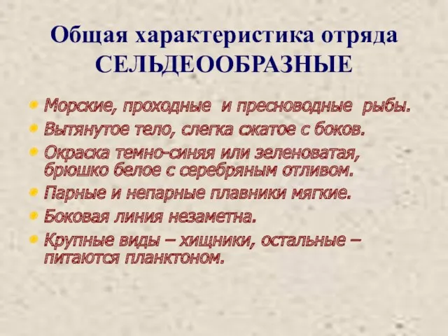 Общая характеристика отряда СЕЛЬДЕООБРАЗНЫЕ Морские, проходные и пресноводные рыбы. Вытянутое