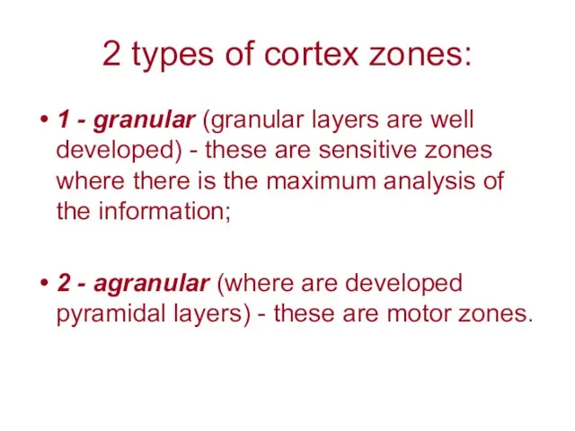 2 types of cortex zones: 1 - granular (granular layers