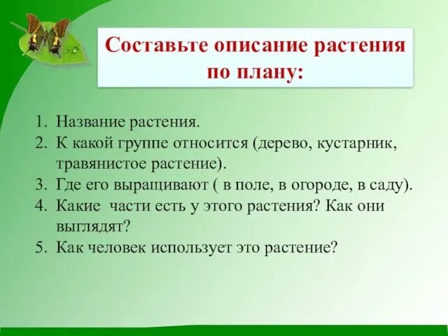 Составьте описание растения по плану: Название растения. К какой группе