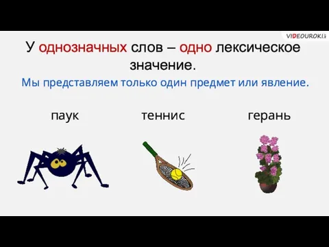 У однозначных слов – одно лексическое значение. паук теннис герань