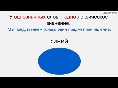 У однозначных слов – одно лексическое значение. синий Мы представляем только один предмет или явление.