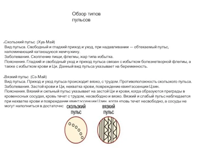 Обзор типов пульсов Скользкий пульс (Хуа-Май) Вид пульса. Свободный и