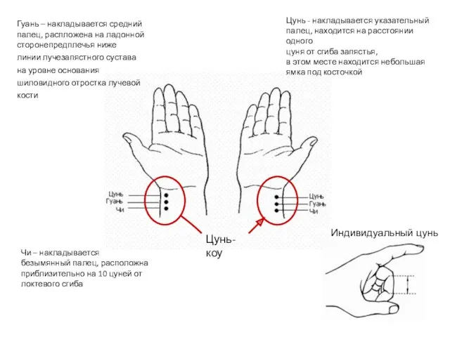 Цунь-коу Гуань – накладывается средний палец, распложена на ладонной сторонепредплечья