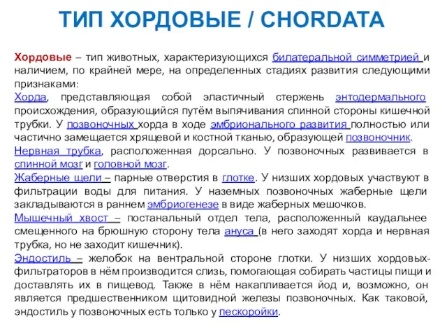 Хордовые – тип животных, характеризующихся билатеральной симметрией и наличием, по