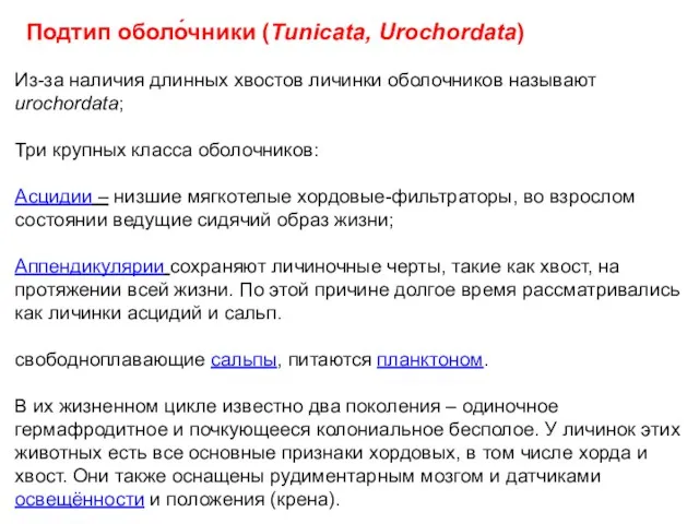 Подтип оболо́чники (Tunicata, Urochordata) Из-за наличия длинных хвостов личинки оболочников