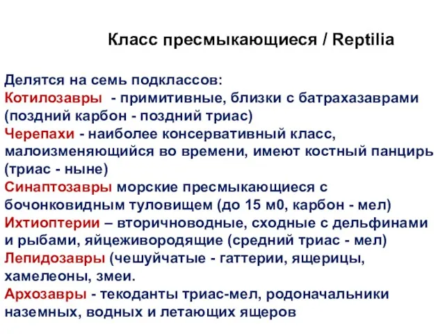 Делятся на семь подклассов: Котилозавры - примитивные, близки с батрахазаврами