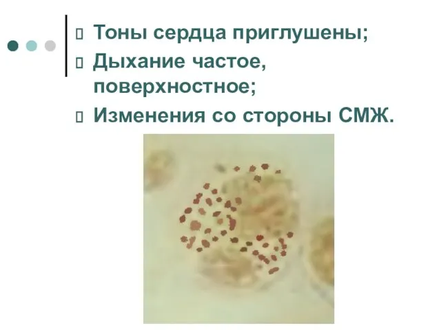 Тоны сердца приглушены; Дыхание частое, поверхностное; Изменения со стороны СМЖ.