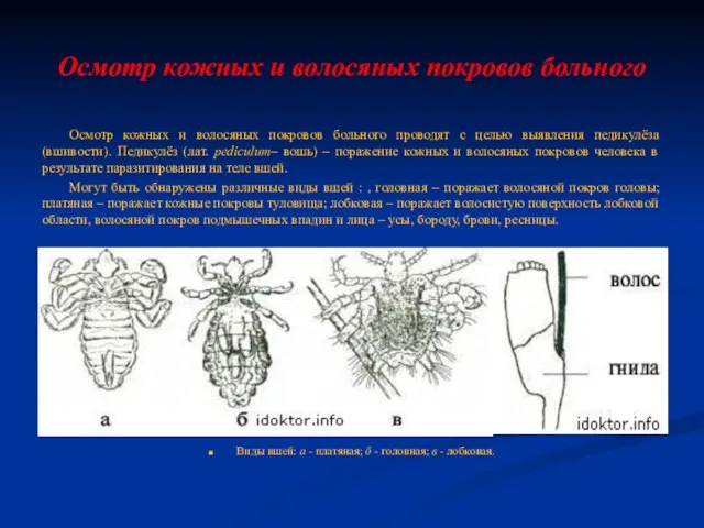 Осмотр кожных и волосяных покровов больного Осмотр кожных и волосяных