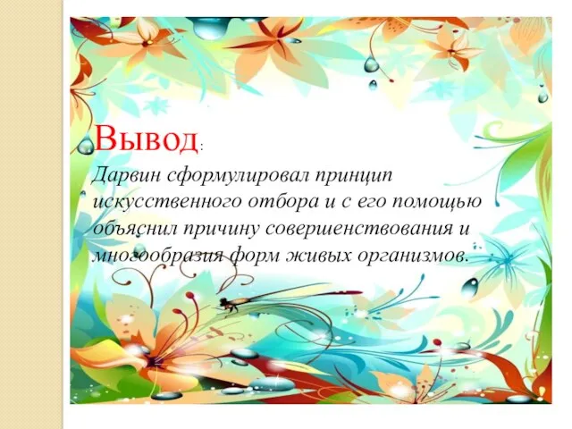 Вывод: Дарвин сформулировал принцип искусственного отбора и с его помощью