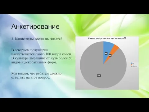 Анкетирование 3. Какие виды сосны вы знаете? В северном полушарии