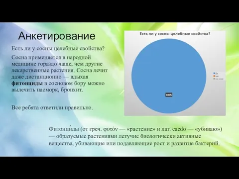 Анкетирование Есть ли у сосны целебные свойства? Сосна применяется в