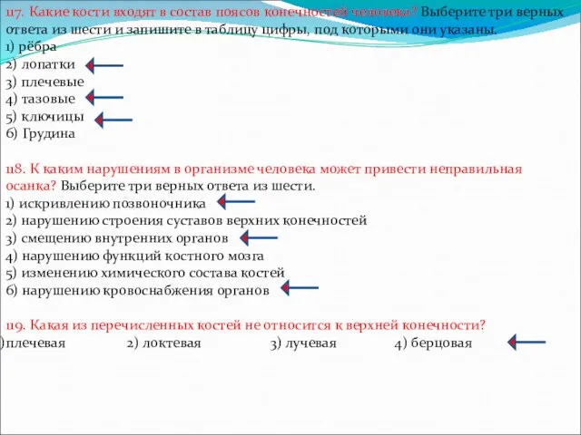 117. Какие кости входят в состав поясов конечностей человека? Выберите