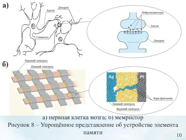 а) нервная клетка мозга; б) мемристор Рисунок 8 – Упрощённое представление об устройстве элемента памяти 10