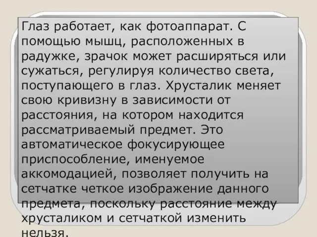 Глаз работает, как фотоаппарат. С помощью мышц, расположенных в радужке, зрачок может расширяться