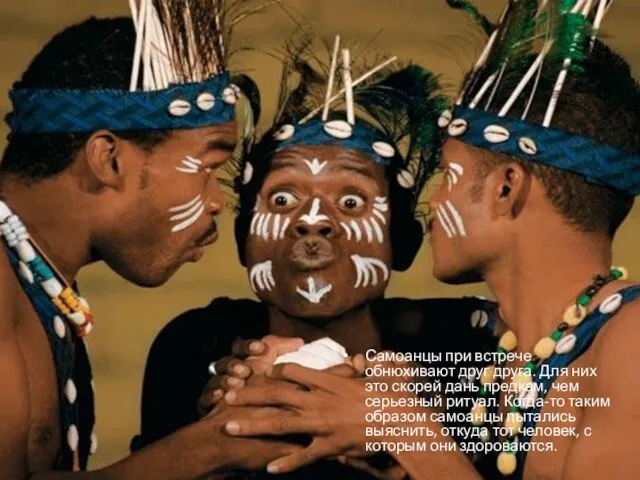 Самоанцы при встрече обнюхивают друг друга. Для них это скорей