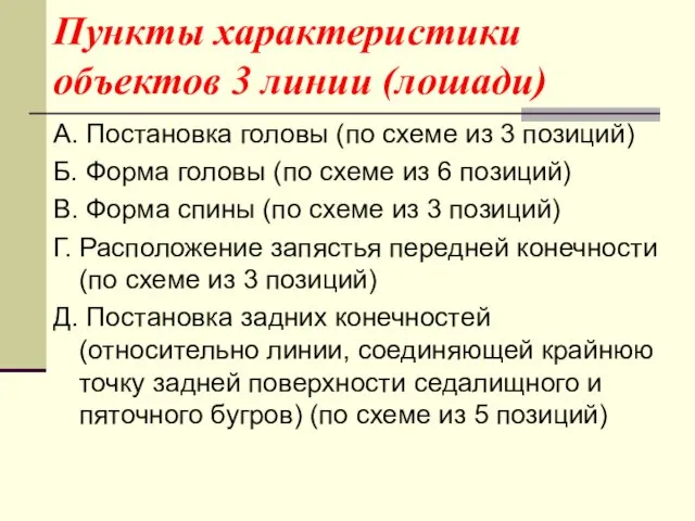 Пункты характеристики объектов 3 линии (лошади) А. Постановка головы (по