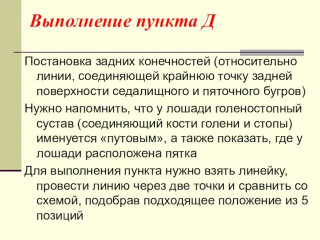 Выполнение пункта Д Постановка задних конечностей (относительно линии, соединяющей крайнюю