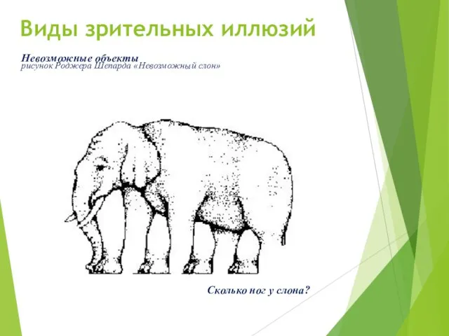 Невозможные объекты Сколько ног у слона? Виды зрительных иллюзий рисунок Роджера Шепарда «Невозможный слон»