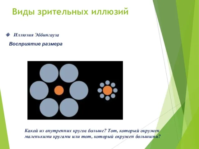 Иллюзия Эббингауза Виды зрительных иллюзий Какой из внутренних кругов больше?