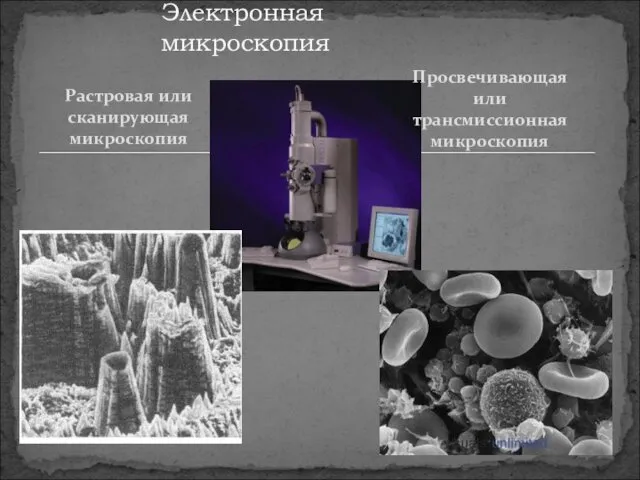 Растровая или сканирующая микроскопия Электронная микроскопия Просвечивающая или трансмиссионная микроскопия