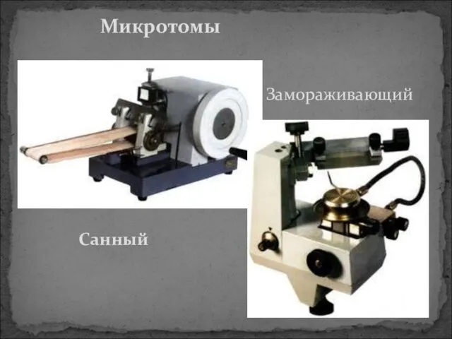 Замораживающий Микротомы Санный