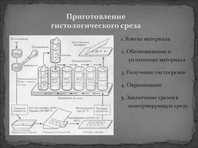 1. Взятие материала 2. Обезвоживание и уплотнение материала 3. Получение