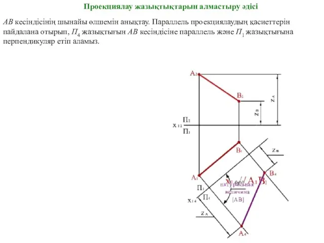 АВ кесіндісінің шынайы өлшемін анықтау. Параллель проекциялаудың қасиеттерін пайдалана отырып,