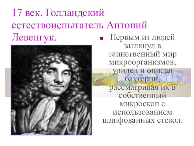 17 век. Голландский естествоиспытатель Антоний Левенгук. Первым из людей заглянул