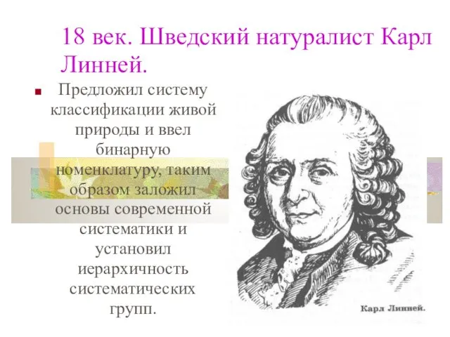 18 век. Шведский натуралист Карл Линней. Предложил систему классификации живой