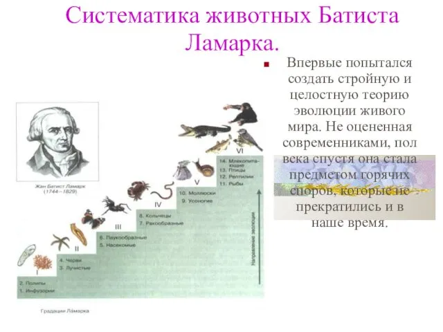 Систематика животных Батиста Ламарка. Впервые попытался создать стройную и целостную