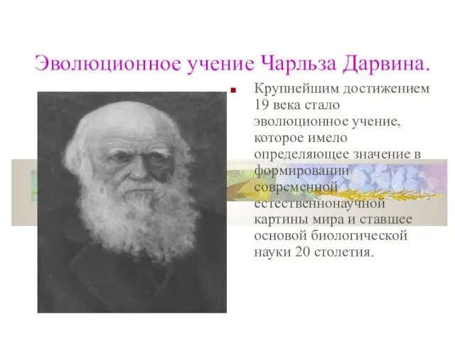 Эволюционное учение Чарльза Дарвина. Крупнейшим достижением 19 века стало эволюционное