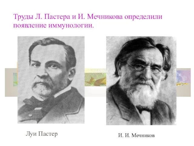 Труды Л. Пастера и И. Мечникова определили появление иммунологии. Луи Пастер И. И. Мечников