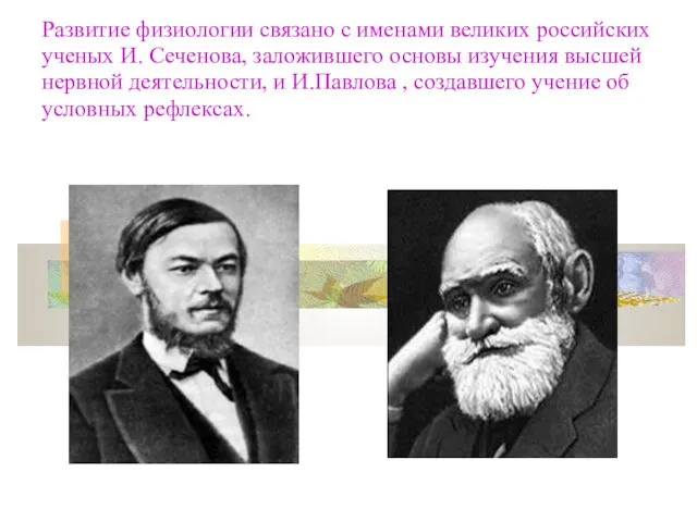 Развитие физиологии связано с именами великих российских ученых И. Сеченова,