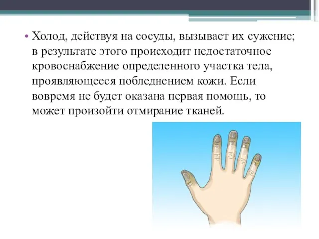 Холод, действуя на сосуды, вызывает их сужение; в результате этого