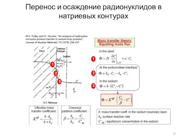 Перенос и осаждение радионуклидов в натриевых контурах